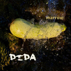 Marrow