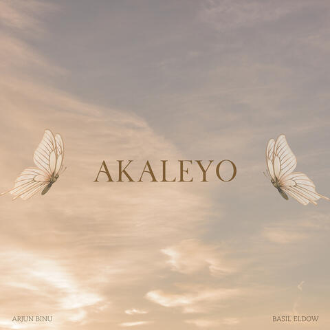 Akaleyo (Cover Version) [Lofi]