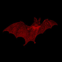 Birth of the Vampire