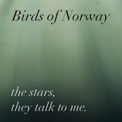 The Stars, They Talk to Me