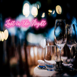 Lost in the Night