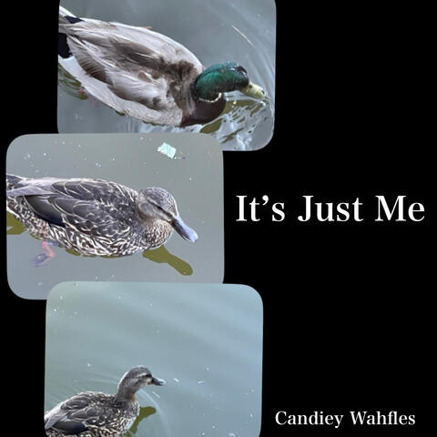 It’s Just Me