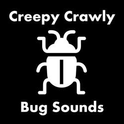 Creepy Crawly Bug Sounds