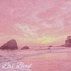 Love Bird