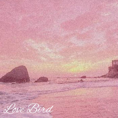 Love Bird
