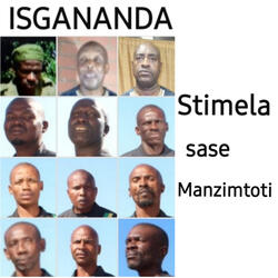 Stimela Sase Manzimtoti