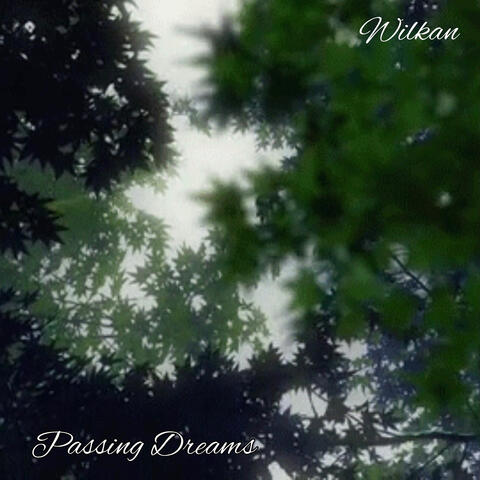 Passive Dreams