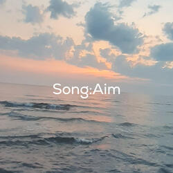 Aim