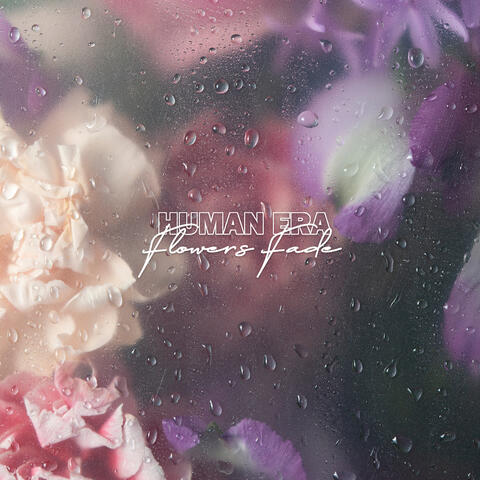 Flowers Fade