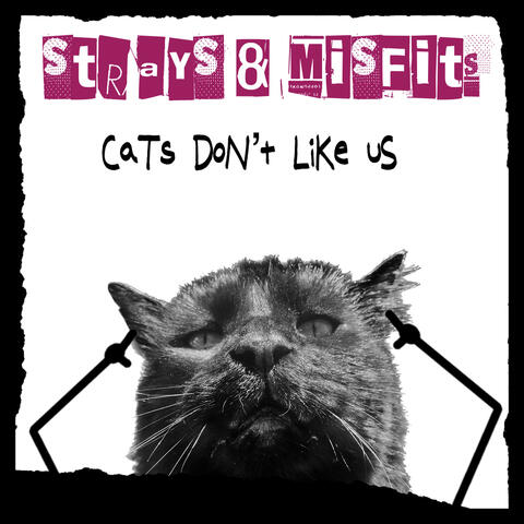 Cats Don't Like Us