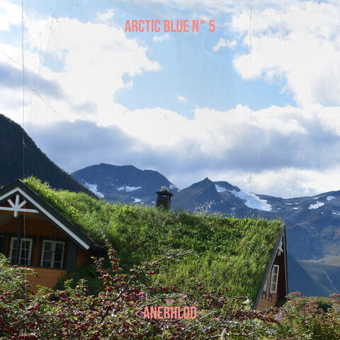 Arctic Blue n° 5