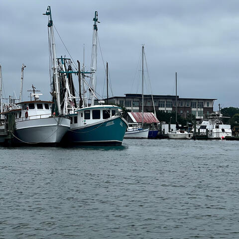 Lowcountry
