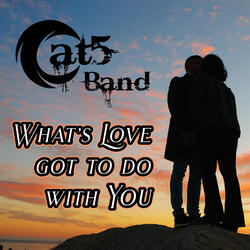 What's Love Got to Do With You?