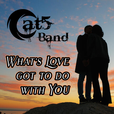What's Love Got to Do With You?