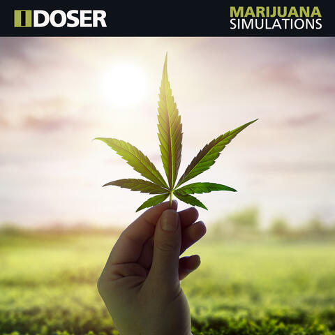 Marijuana Simulations