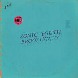 Death Valley '69 (Live in Brooklyn, Ny)