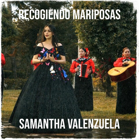 Recogiendo Mariposas