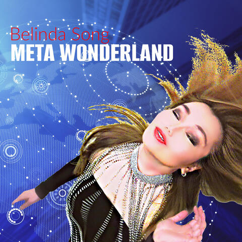 Meta Wonderland