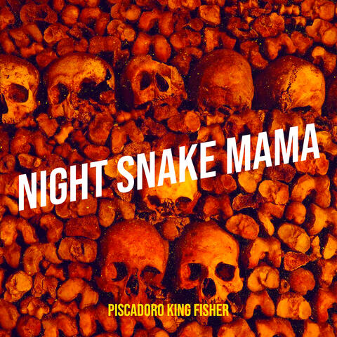 Night Snake Mama
