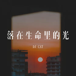 落在生命里的光