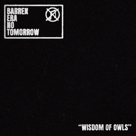 Wisdom of Owls