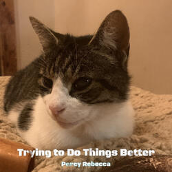 Trying to Do Things Better
