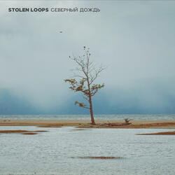 Северный дождь