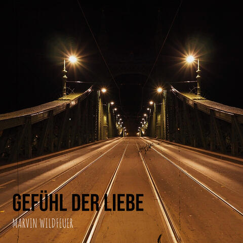 Gefühl Der Liebe