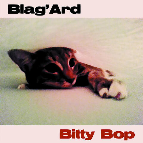 Bitty Bop