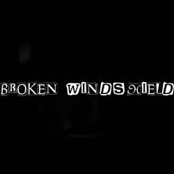 Broken Windshield