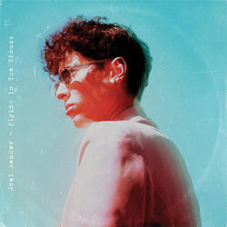 Flying in the Clouds