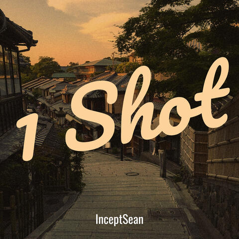 1 Shot
