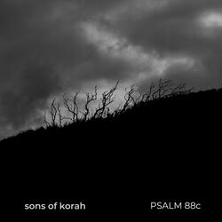 Psalm 88c