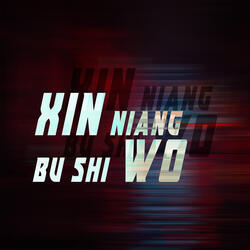 Xin Niang Bu Shi Wo (Instrument)
