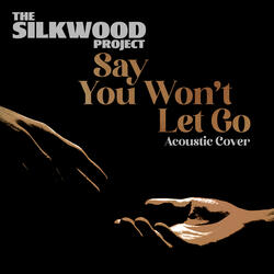 Say You Won't Let Go (Acoustic Cover)