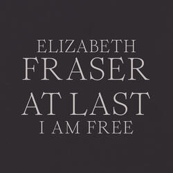 At Last I Am Free