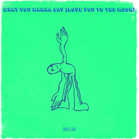 What You Wanna Say (Love You to the Moon)