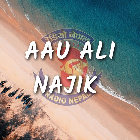 Aau Ali Najik