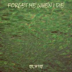 Forget Me When I Die