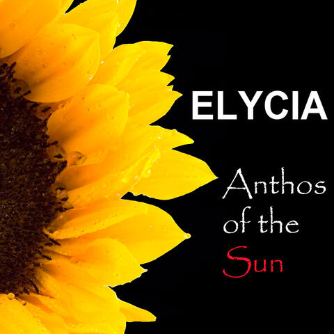 Elycia
