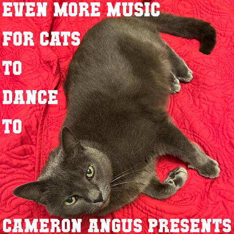 Even More Music for Cats to Dance To