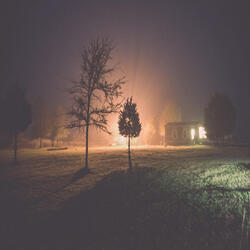 Vindictive