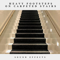 Heavy Foodsteps on Carpeted Stairs Sound Effects