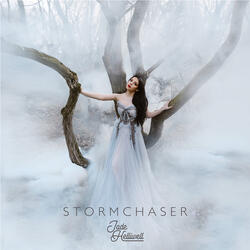 Stormchaser