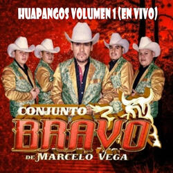 Huapangos, Vol. 1 (En Vivo)