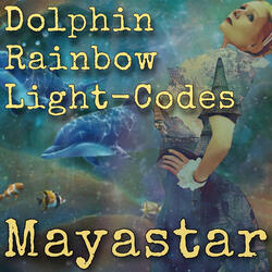 Dolphin Rainbow Light-Codes