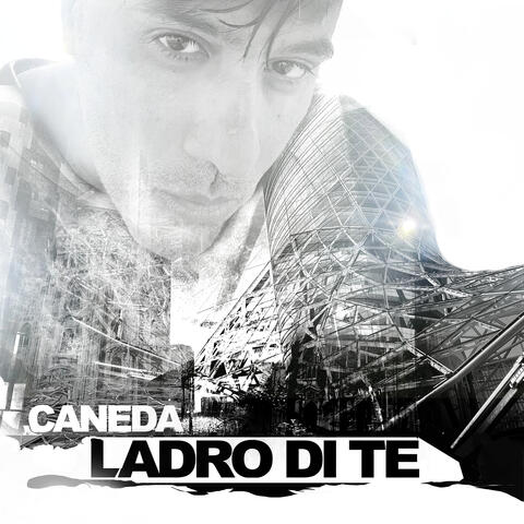 Ladro di Te