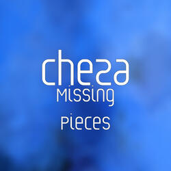 Missing Pieces
