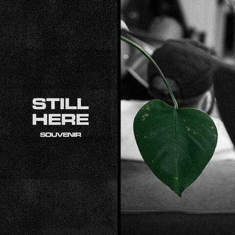 Still Here