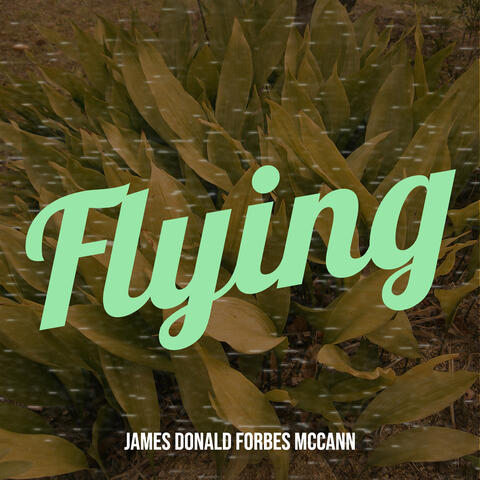 Flying